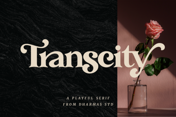 Transcity: A Serif Font That Commands Attention with Elegance
